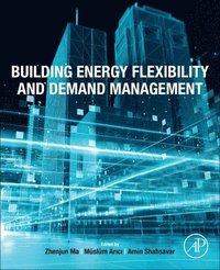 bokomslag Building Energy Flexibility and Demand Management