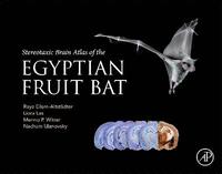bokomslag Stereotaxic Brain Atlas of the Egyptian Fruit Bat