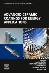 bokomslag Advanced Ceramic Coatings for Energy Applications