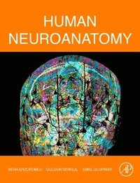 bokomslag Human Neuroanatomy