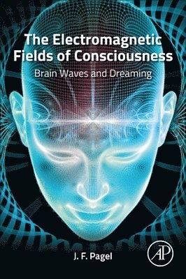 The Electromagnetic Fields of Consciousness 1