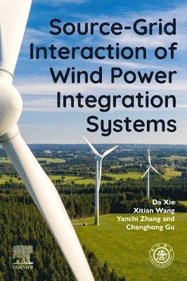 bokomslag Source-Grid Interaction of Wind Power Integration Systems