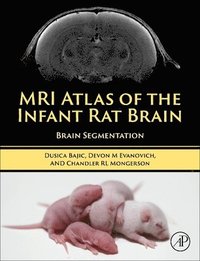 bokomslag MRI Atlas of the Infant Rat Brain