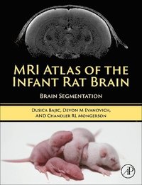 bokomslag MRI Atlas of the Infant Rat Brain