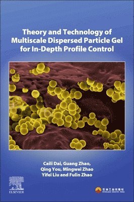 bokomslag Theory and Technology of Multiscale Dispersed Particle Gel for In-Depth Profile Control