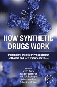 bokomslag How Synthetic Drugs Work