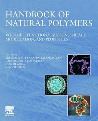 bokomslag Handbook of Natural Polymers, Volume 2