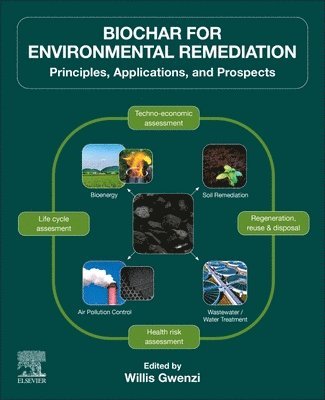 bokomslag Biochar for Environmental Remediation