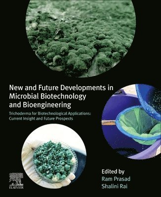 bokomslag New and Future Developments in Microbial Biotechnology and Bioengineering