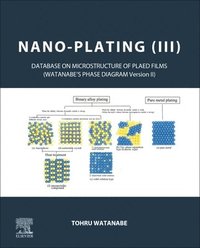 bokomslag Nano-plating (III)