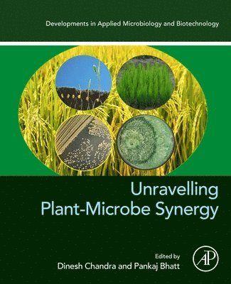 Dinesh Chandra, Pankaj Bhatt - Unravelling Plant-Microbe Synergy, Häftad