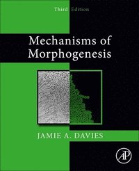 bokomslag Mechanisms of Morphogenesis