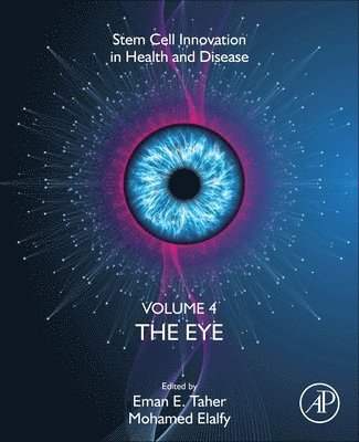 The Eye 1