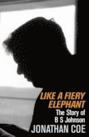 Jonathan Coe - Like a Fiery Elephant, Häftad