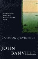 bokomslag The Book of Evidence