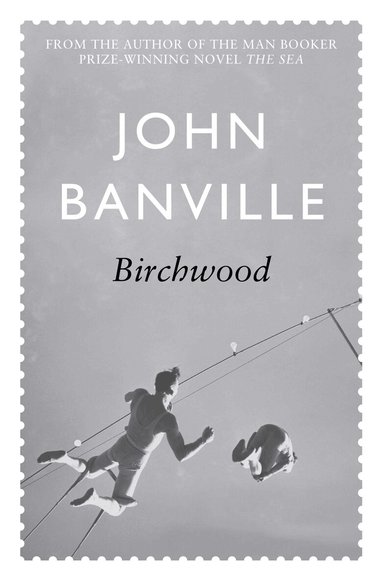 John Banville - Birchwood, Häftad