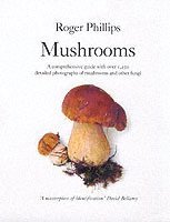 Roger Phillips - Mushrooms, Häftad