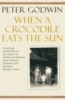 bokomslag When A Crocodile Eats the Sun
