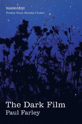 Dark Film 1