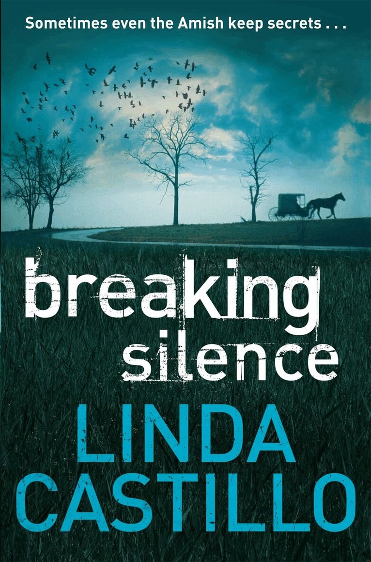 Linda Castillo - Breaking Silence, Häftad