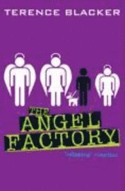 bokomslag The Angel Factory
