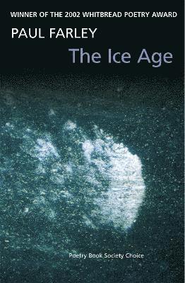 bokomslag The Ice Age