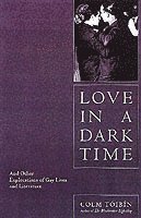 bokomslag Love in a Dark Time
