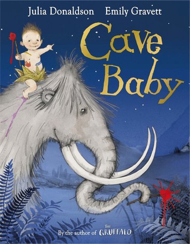 Julia Donaldson - Cave Baby, Häftad