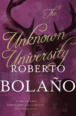 Roberto Bolano - Bolano, R: The Unknown University, Häftad