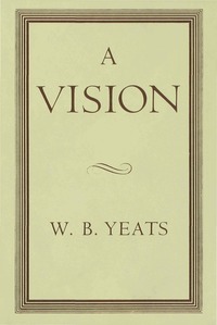 bokomslag Vision