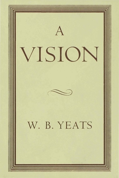 bokomslag Vision