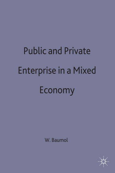 bokomslag Public and Private Enterprise in a Mixed Economy