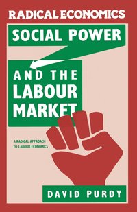 bokomslag Social Power and the Labour Market: A Radical Approach to Labour Economics