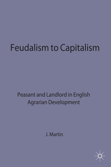 bokomslag Feudalism to Capitalism