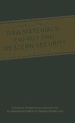 bokomslag Raw Materials, Energy and Western Security