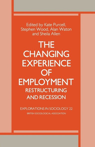 bokomslag The Changing Experience of Employment