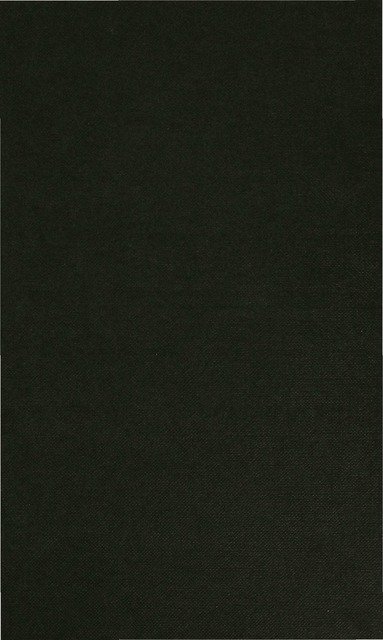G. Holderness, J. Turner - Shakespeare: The Play of History, Inbunden