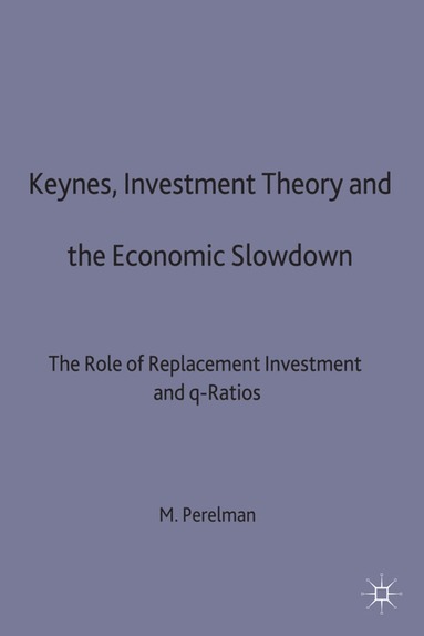 bokomslag Keynes, Investment Theory and the Economic Slowdown