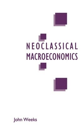 bokomslag A Critique of Neoclassical Macroeconomics