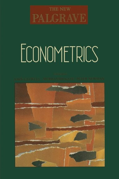 bokomslag Econometrics