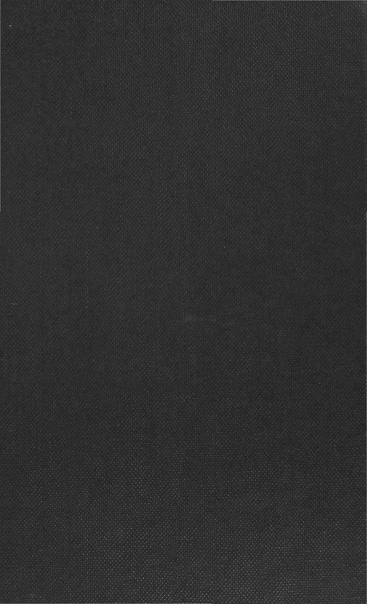 Reader in the Dickensian Mirrors