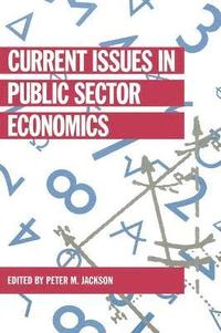 bokomslag Current Issues in Public Sector Economics