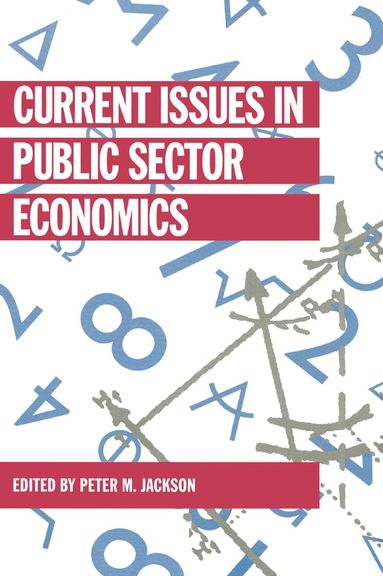 bokomslag Current Issues in Public Sector Economics