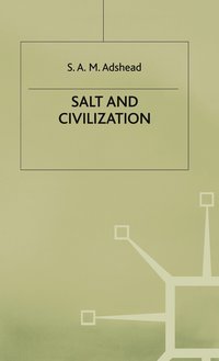 bokomslag Salt and Civilization