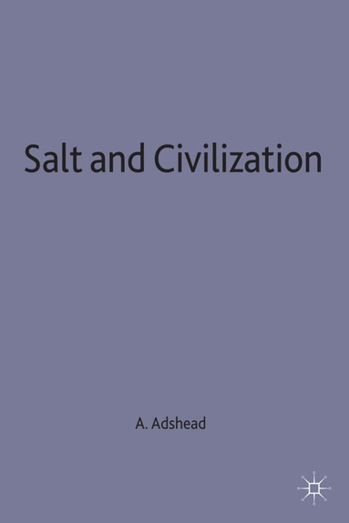 bokomslag Salt and Civilization