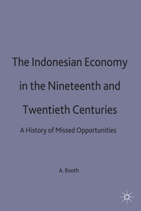 bokomslag Indonesian Economy in the Nineteenth and Twentieth Centuries