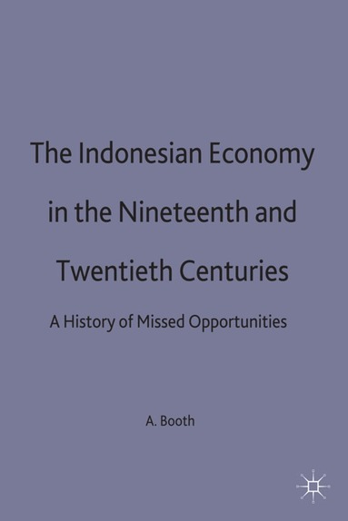 bokomslag Indonesian Economy in the Nineteenth and Twentieth Centuries