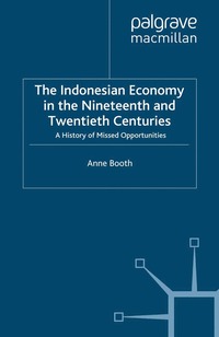 bokomslag Indonesian Economy in the Nineteenth and Twentieth Centuries