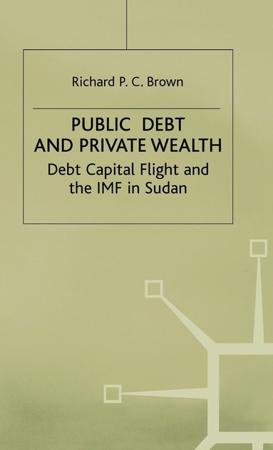 bokomslag Public Debt and Private Wealth