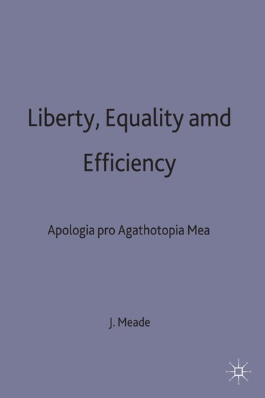 bokomslag Liberty, Equality and Efficiency
